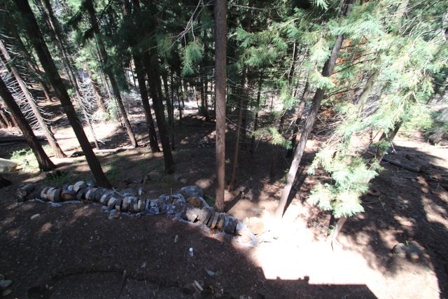 54838 Ponderosa Drive, Springville, CA 93265