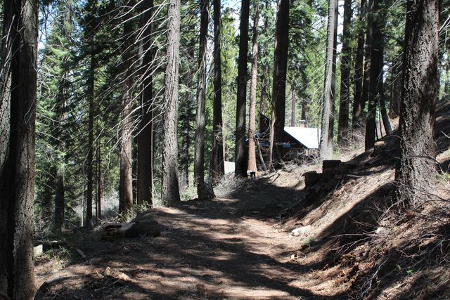 54838 Ponderosa Drive, Springville, CA 93265