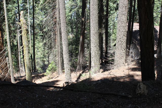 54838 Ponderosa Drive, Springville, CA 93265