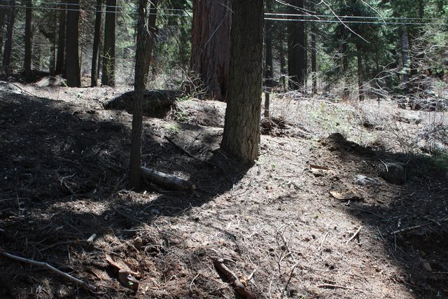 54838 Ponderosa Drive, Springville, CA 93265