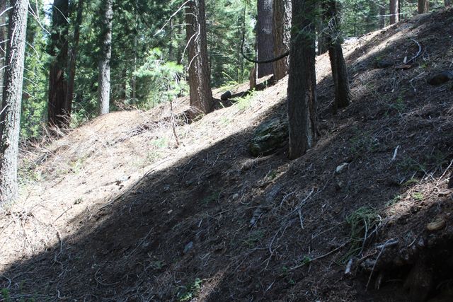 54838 Ponderosa Drive, Springville, CA 93265