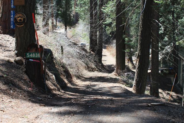 54838 Ponderosa Drive, Springville, CA 93265