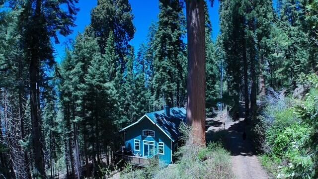 54838 Ponderosa Drive, Springville, CA 93265