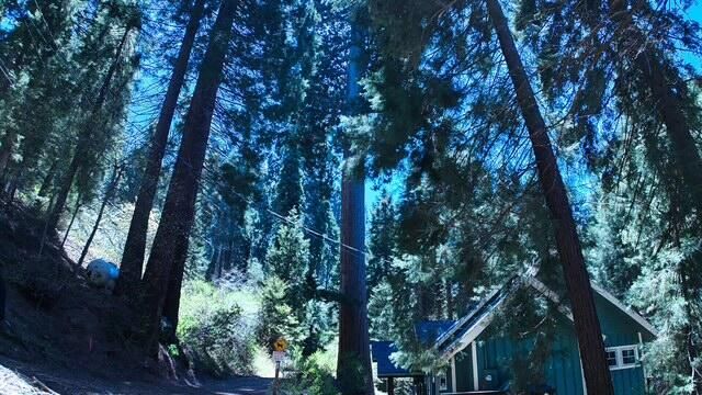 54838 Ponderosa Drive, Springville, CA 93265