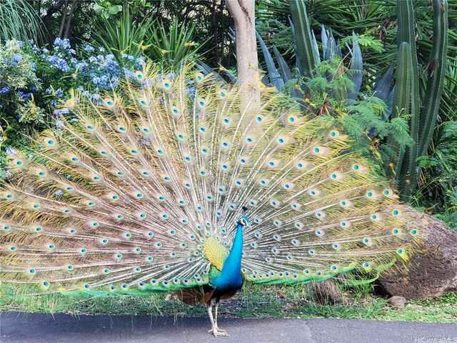 84-665 Ala Mahiku Street 138A, Waianae, HI 96792