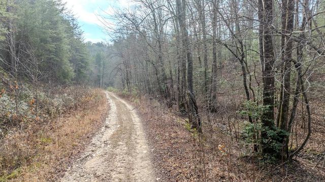 2.57 Scottie Mountain Circle, Murphy, NC 28906