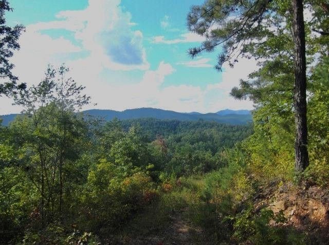 2.57 Scottie Mountain Circle, Murphy, NC 28906