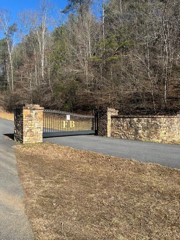 2.57 Scottie Mountain Circle, Murphy, NC 28906