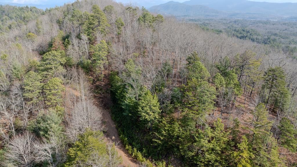 2.57 Scottie Mountain Circle, Murphy, NC 28906