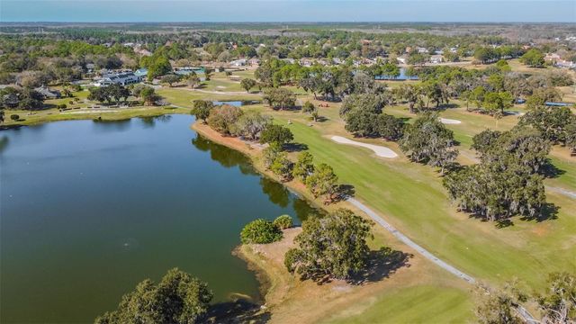 16306 COLWOOD DRIVE, Odessa, FL 33556