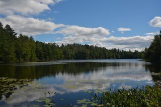 13 Forest Road, Grantham, NH 03753