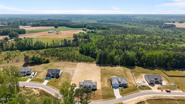 173 Little Lady Trail, Zebulon, NC 27597