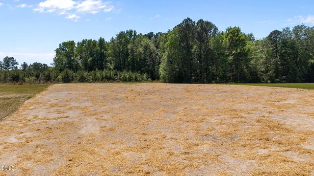 173 Little Lady Trail, Zebulon, NC 27597