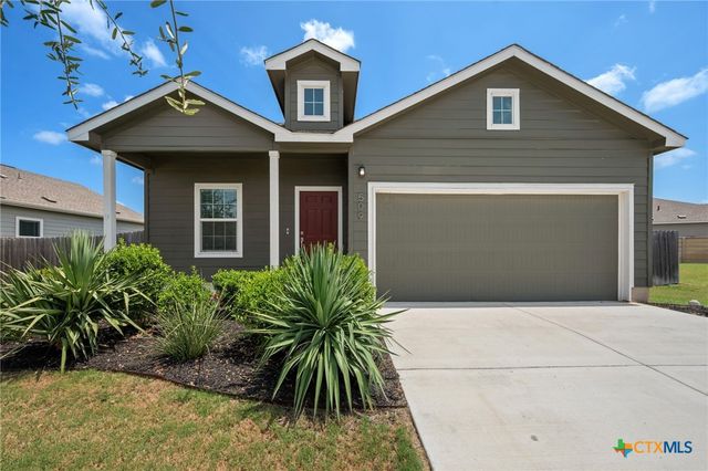 509 Gabriels Bluff Drive, Georgetown, TX 78626
