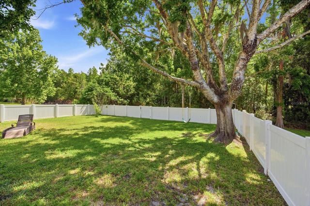 19321 SANDY SPRINGS CIRCLE, Lutz, FL 33558