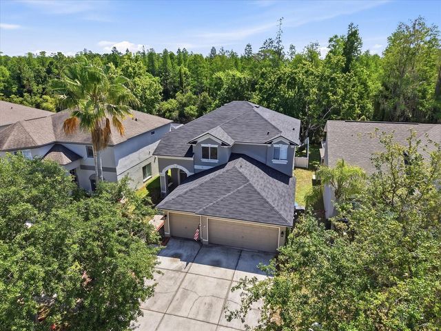 19321 SANDY SPRINGS CIRCLE, Lutz, FL 33558