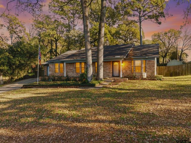 17617 Carol Circle, Flint, TX 75762