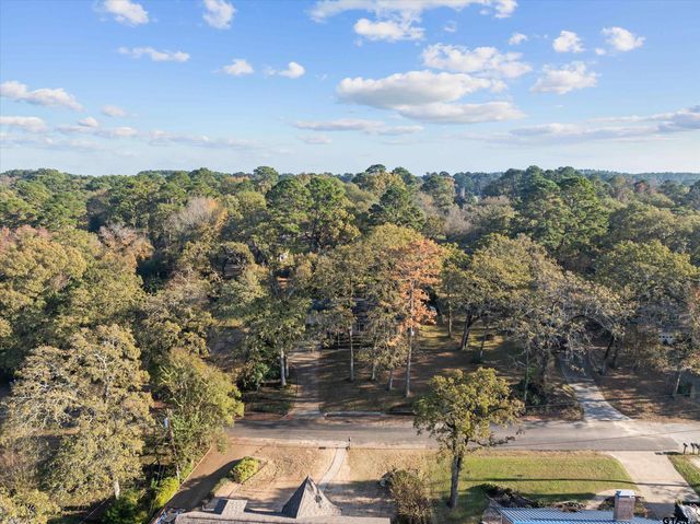 17617 Carol Circle, Flint, TX 75762