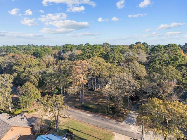 17617 Carol Circle, Flint, TX 75762