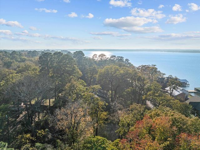 17617 Carol Circle, Flint, TX 75762