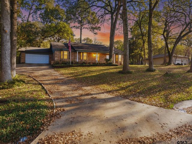 17617 Carol Circle, Flint, TX 75762