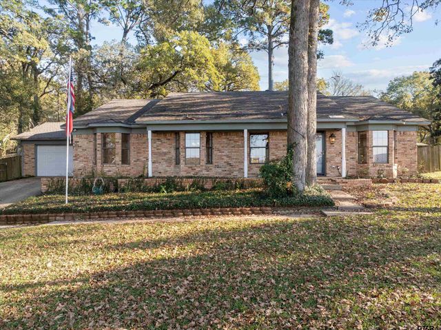 17617 Carol Circle, Flint, TX 75762