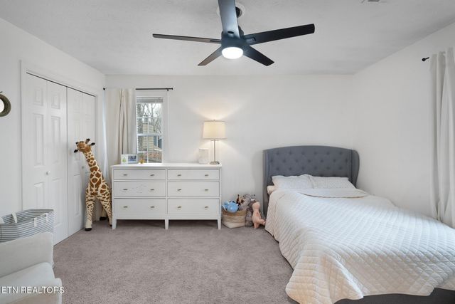 805 Tree Trunk Rd, Knoxville, TN 37934