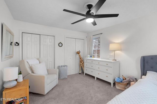 805 Tree Trunk Rd, Knoxville, TN 37934