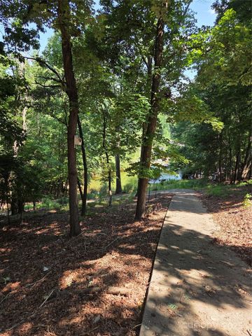 3110 Point Clear Drive 110; 115, Tega Cay, SC 29708