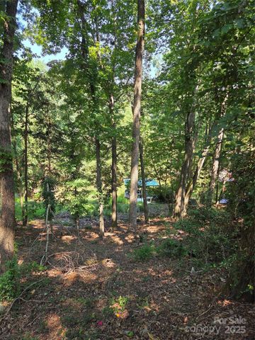 3110 Point Clear Drive 110; 115, Tega Cay, SC 29708
