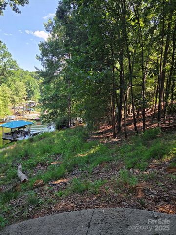 3110 Point Clear Drive 110; 115, Tega Cay, SC 29708