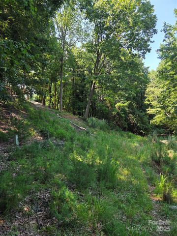 3110 Point Clear Drive 110; 115, Tega Cay, SC 29708