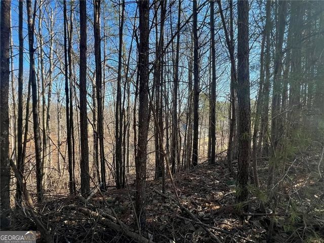 920 Whistler Lane 68, Canton, GA 30114