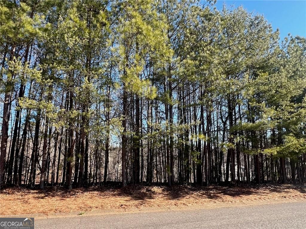 920 Whistler Lane 68, Canton, GA 30114