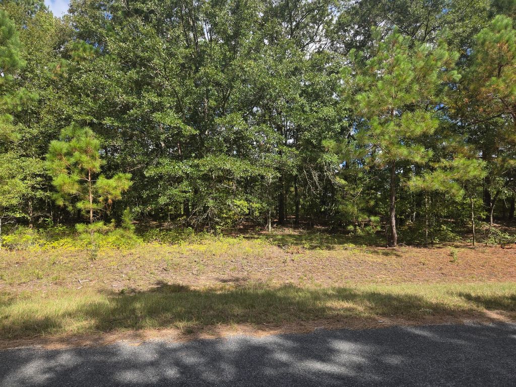 Image 1 of property listing at 0 Prospect Street, Bowman, SC 29018