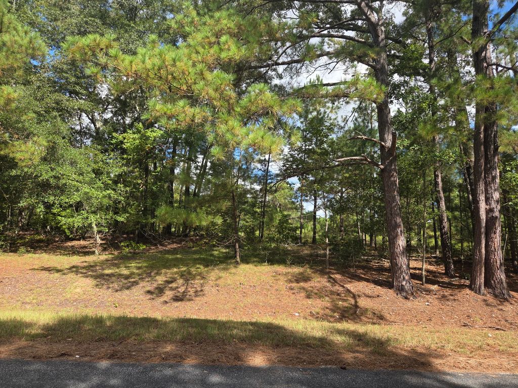 Image 3 of property listing at 0 Prospect Street, Bowman, SC 29018