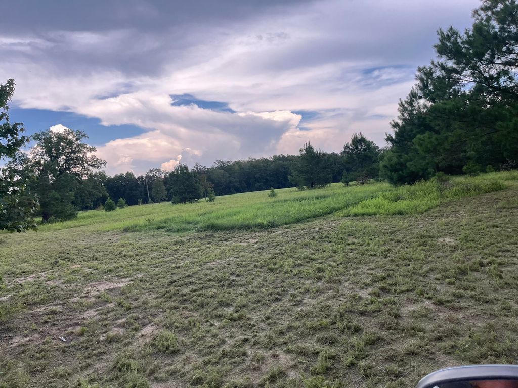 Image 4 of property listing at 0 Prospect Street, Bowman, SC 29018