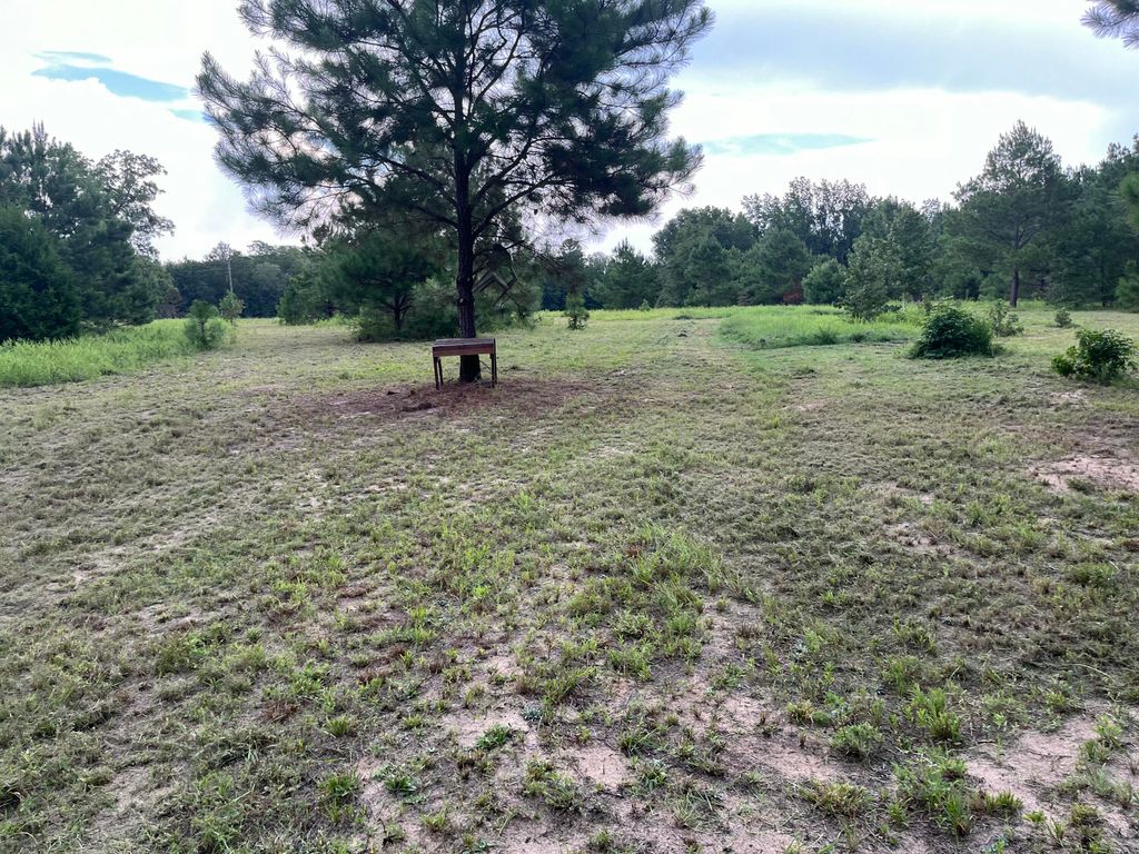Image 5 of property listing at 0 Prospect Street, Bowman, SC 29018