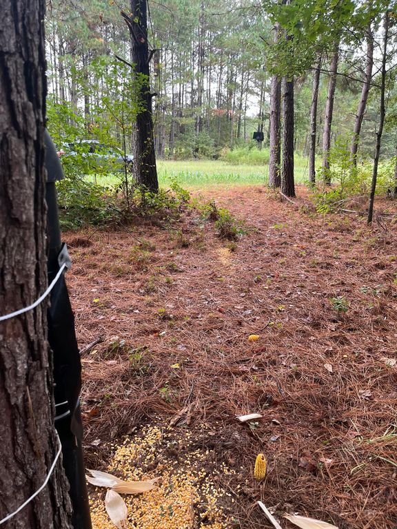 Image 7 of property listing at 0 Prospect Street, Bowman, SC 29018