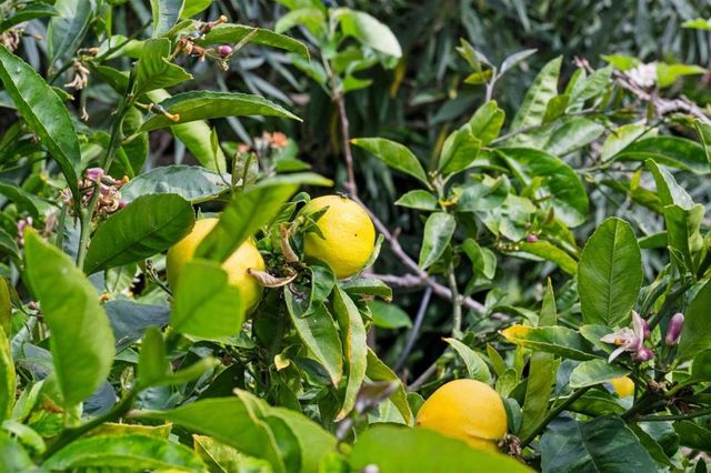 1976 Luzern Street, Seaside, CA 93955