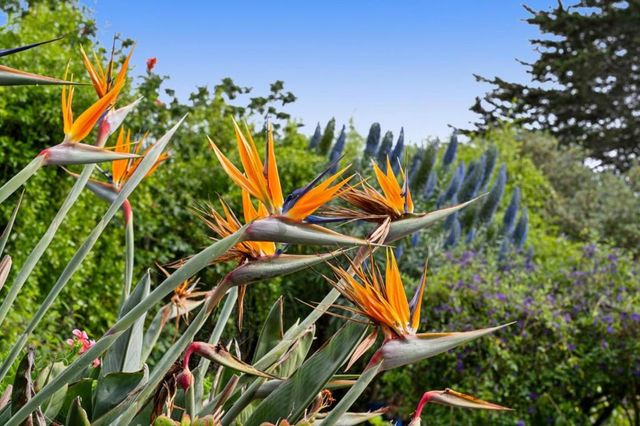 1976 Luzern Street, Seaside, CA 93955