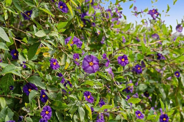 1976 Luzern Street, Seaside, CA 93955