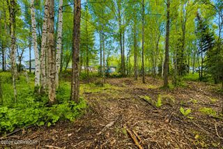 L4 Zurich Street, Anchorage, AK 99507