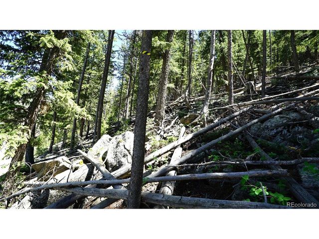 0 Saddleback Dr, Evergreen, CO 80439