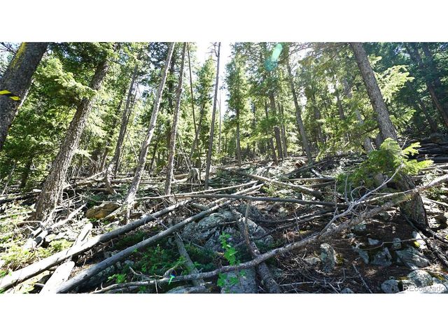 0 Saddleback Dr, Evergreen, CO 80439