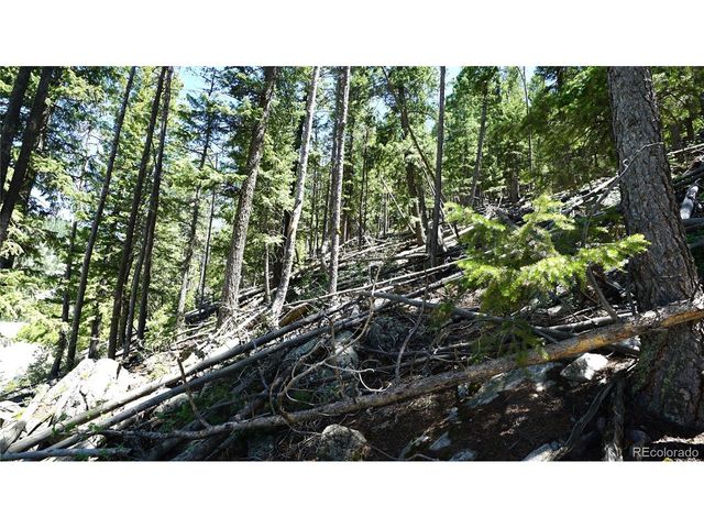 0 Saddleback Dr, Evergreen, CO 80439