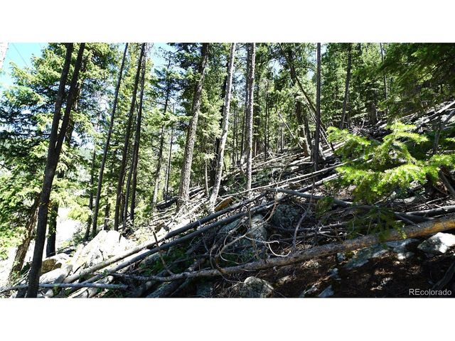 0 Saddleback Dr, Evergreen, CO 80439