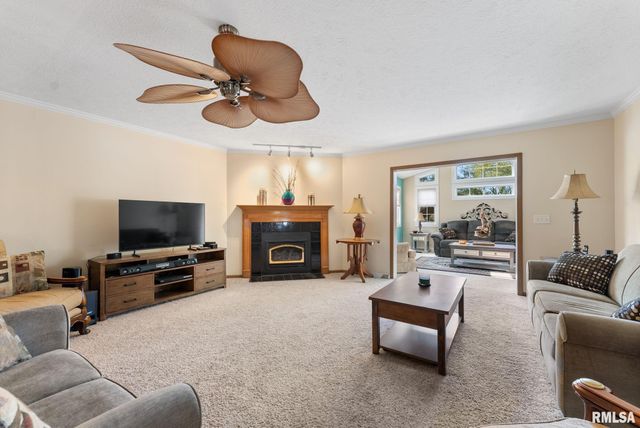 225 CARROLL Street, Colona, IL 61241