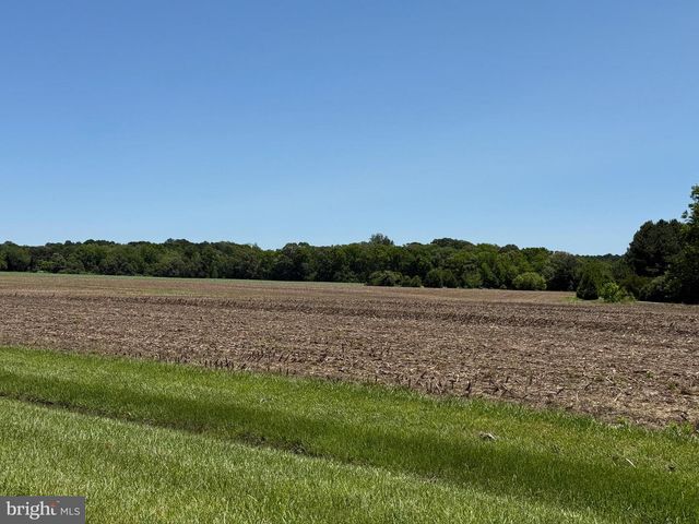 28923 ISLAND CREEK RD, Trappe, MD 21673