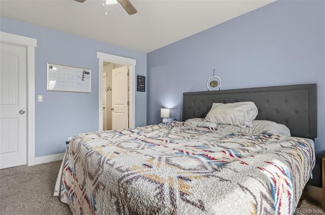 884 Cliffrose Way, Severance, CO 80550